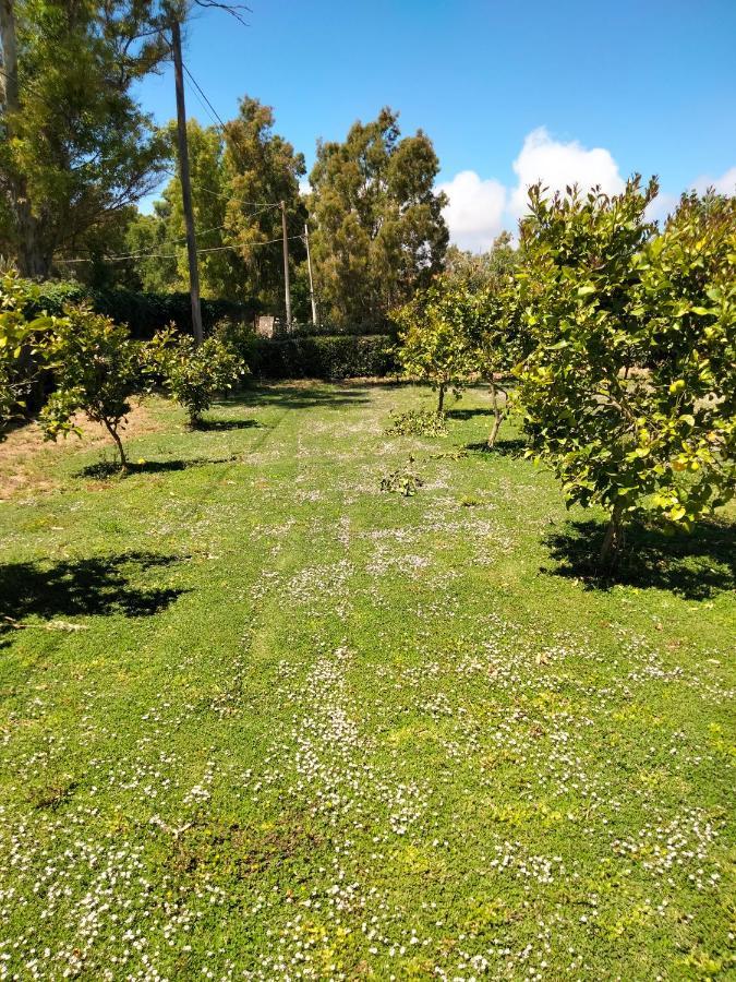 Agriturismo I Doni Del Mandorlo Alguer Exterior foto